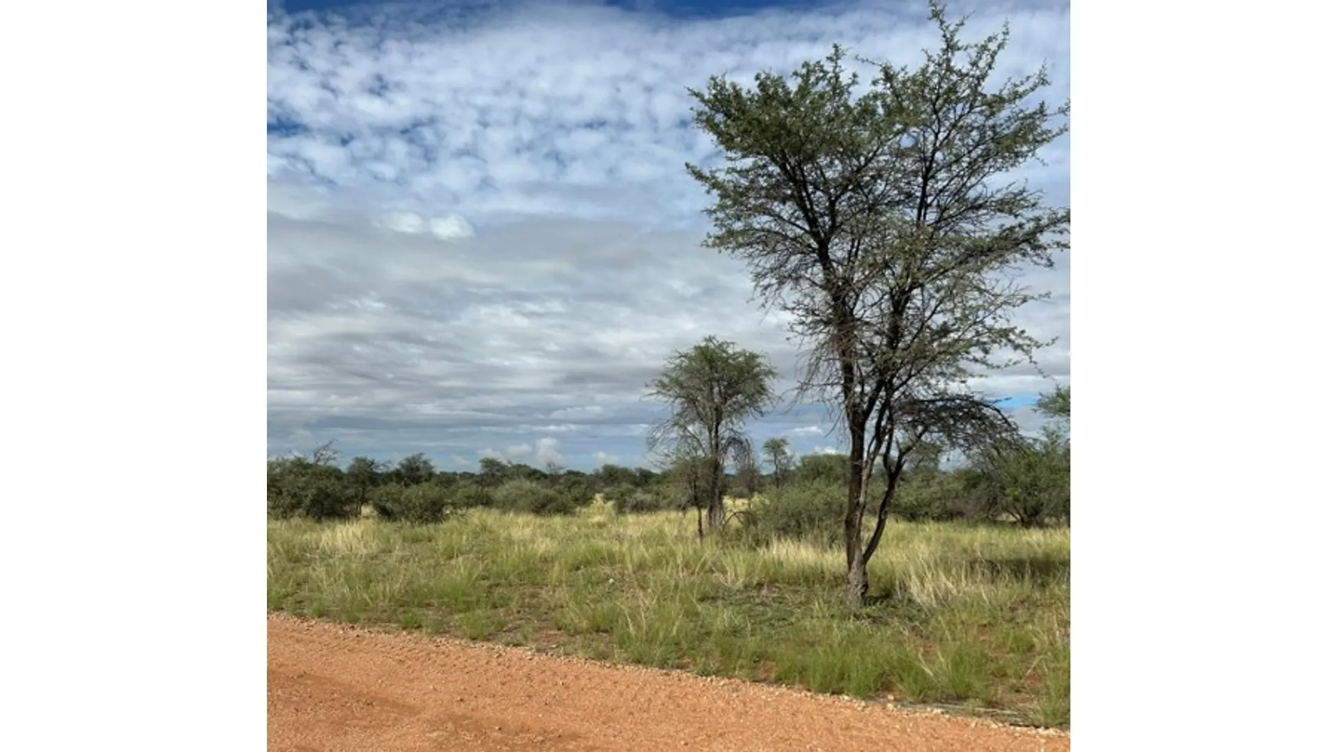 Palačinky v Kalahari: Meteorologie a život v Namibii